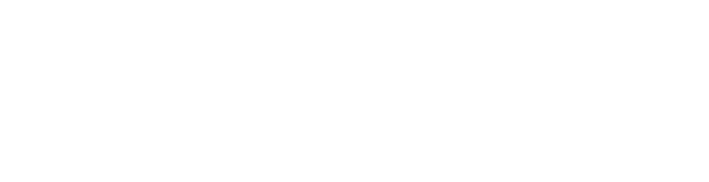 XPEL logo